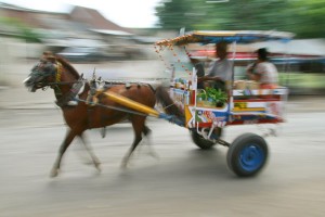 Cidomo (Local Transport In Lombok)